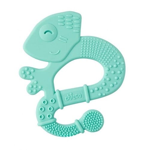 Ch.Ane28110200000 Anel Dent Iguana Boy 2M+